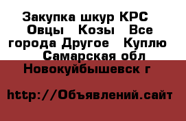 Закупка шкур КРС , Овцы , Козы - Все города Другое » Куплю   . Самарская обл.,Новокуйбышевск г.